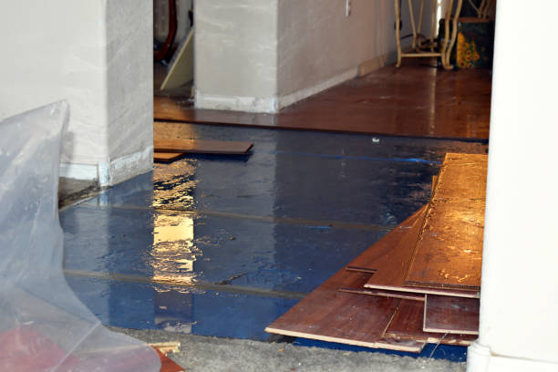 Professional Flood Damage Restoration technician working in Darien, IL